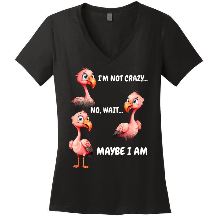 Funny Flamingo Humor Women's V-Neck T-Shirt