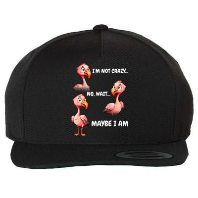 Funny Flamingo Humor Wool Snapback Cap