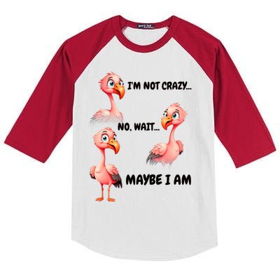 Funny Flamingo Humor Kids Colorblock Raglan Jersey