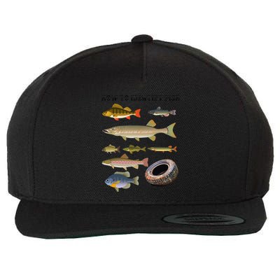 Funny Fish Identification Fishermen How To Identify Fish Wool Snapback Cap