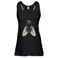 Fly Funny Insect Animal Lazy DIY Costume Easy Halloween Ladies Essential Flowy Tank