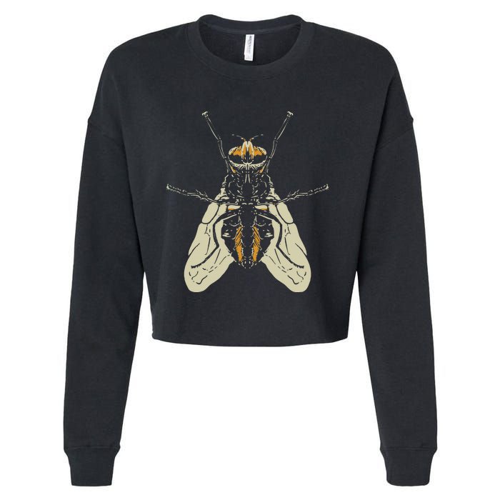 Fly Funny Insect Animal Lazy DIY Costume Easy Halloween Cropped Pullover Crew