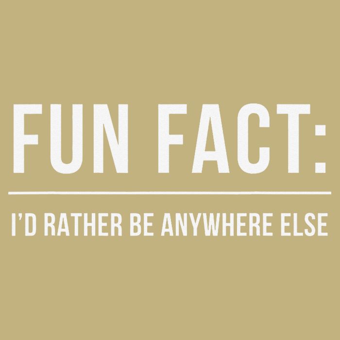 Fun Fact Id Rather Be Anywhere Else Funny Meme Hoodie