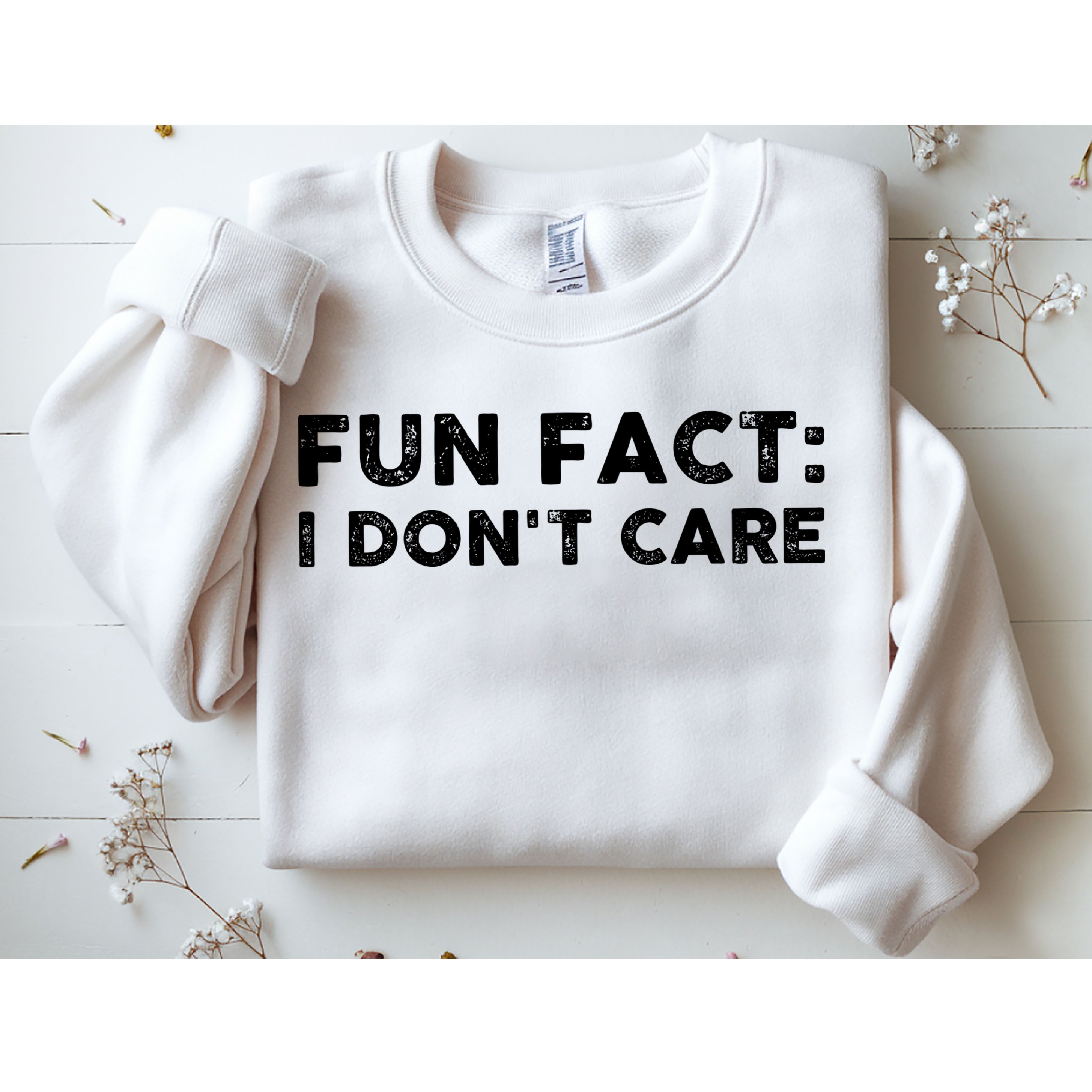 Fun Fact: I Don't Care Sweatshirt