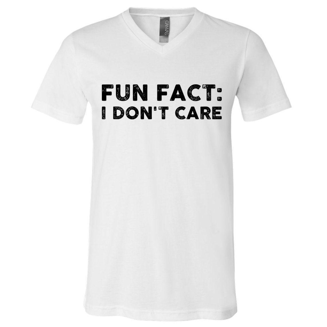 Fun Fact: I Don't Care V-Neck T-Shirt