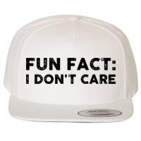 Fun Fact: I Don't Care Wool Snapback Cap