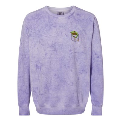 Fun Frog In A Pocket Goblincore Design Frog Lovers Colorblast Crewneck Sweatshirt