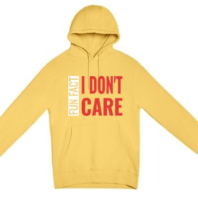 Fun Fact I DonT Care Funny Gift Premium Pullover Hoodie