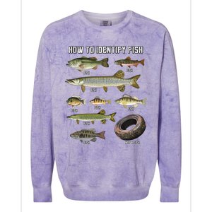 Funny Fish Identification Colorblast Crewneck Sweatshirt