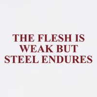 Fantasyinitiative Fantasy Initiative By Fire And Steel The Flesh Is Weak But Ste Wool Snapback Cap