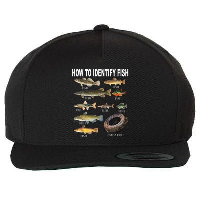 Funny Fish Identification How To Identify Fish Wool Snapback Cap