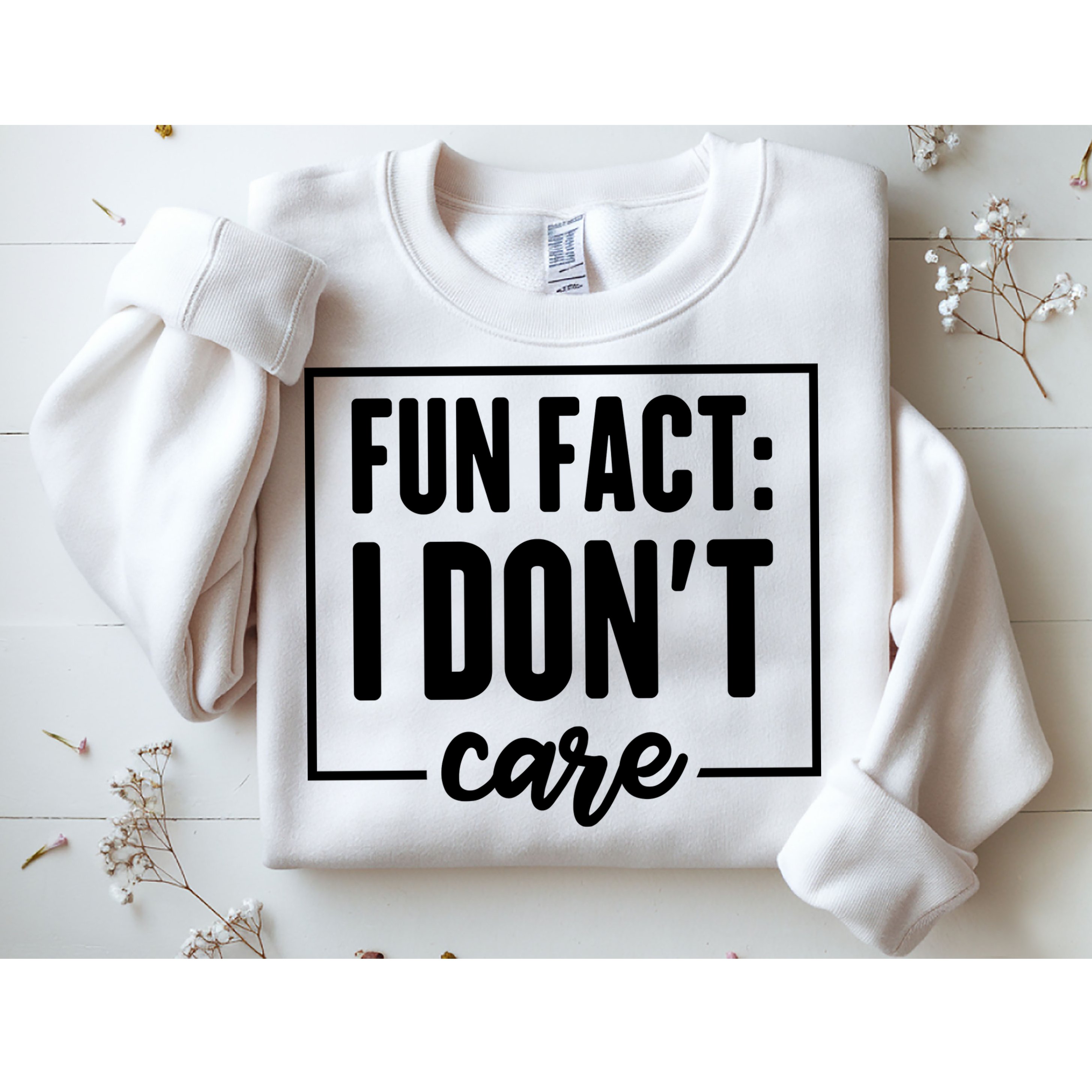 Fun Fact I Don't Care Sweatshirt