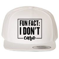 Fun Fact I Don't Care Wool Snapback Cap