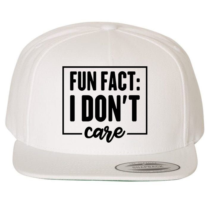 Fun Fact I Don't Care Wool Snapback Cap