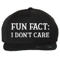 FUN FACT I DONT CARE Funny Funny Spring Humor Men Women Wool Snapback Cap