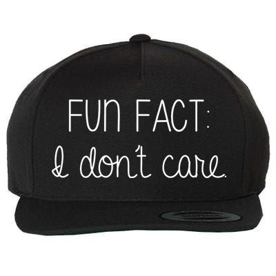 Fun Fact I Don't Care Funny Wool Snapback Cap