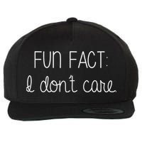 Fun Fact I Don't Care Funny Wool Snapback Cap