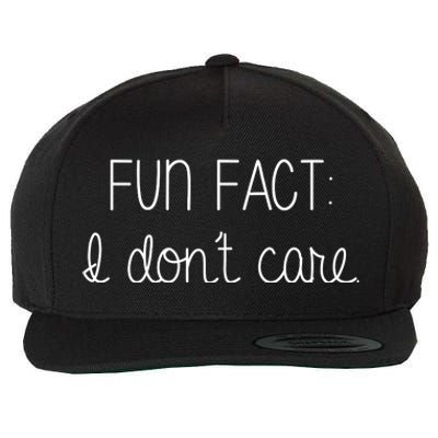 Fun Fact I Don't Care Funny Wool Snapback Cap