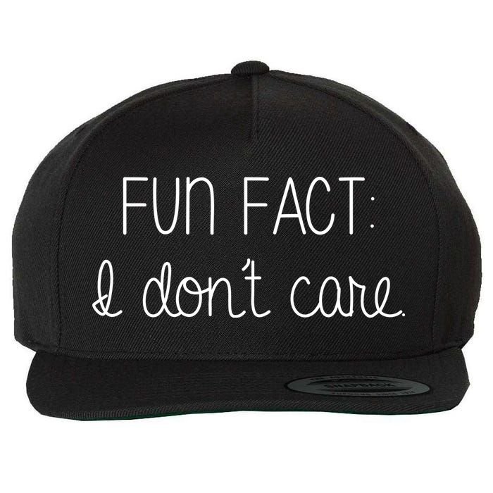 Fun Fact I Don't Care Funny Wool Snapback Cap