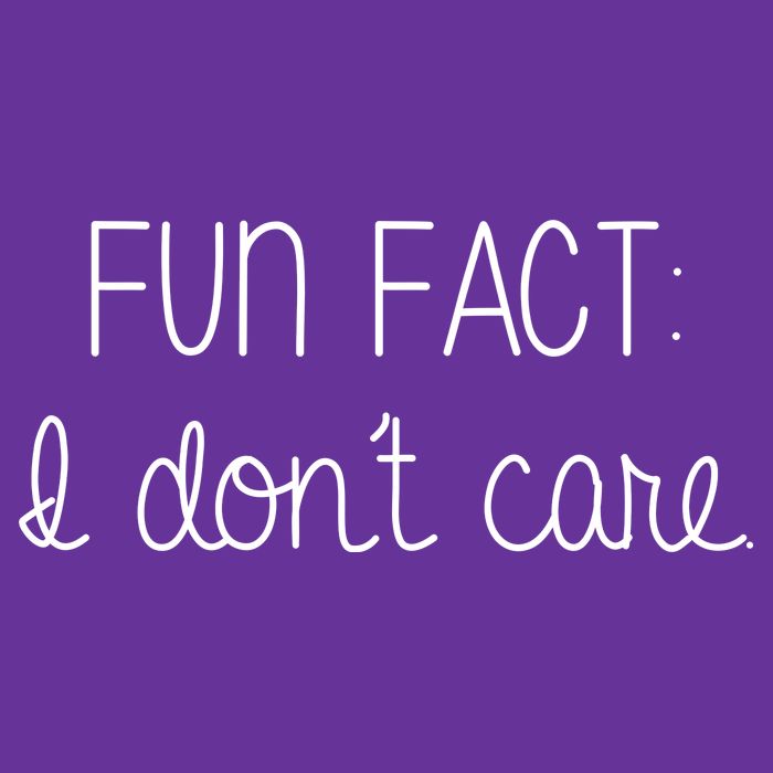 Fun Fact I Don't Care Funny Toddler T-Shirt