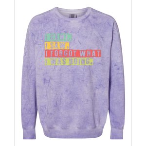 Funny Forgetfulness I Came I Saw I Forgot Memory Loss Colorblast Crewneck Sweatshirt