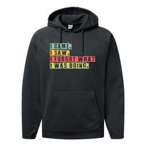 Funny Forgetfulness I Came I Saw I Forgot Memory Loss Performance Fleece Hoodie