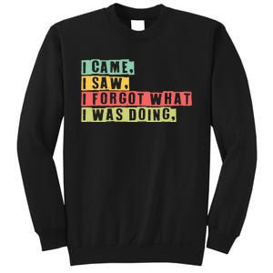 Funny Forgetfulness I Came I Saw I Forgot Memory Loss Sweatshirt