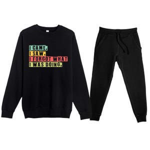 Funny Forgetfulness I Came I Saw I Forgot Memory Loss Premium Crewneck Sweatsuit Set