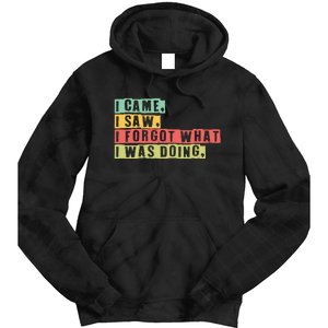 Funny Forgetfulness I Came I Saw I Forgot Memory Loss Tie Dye Hoodie