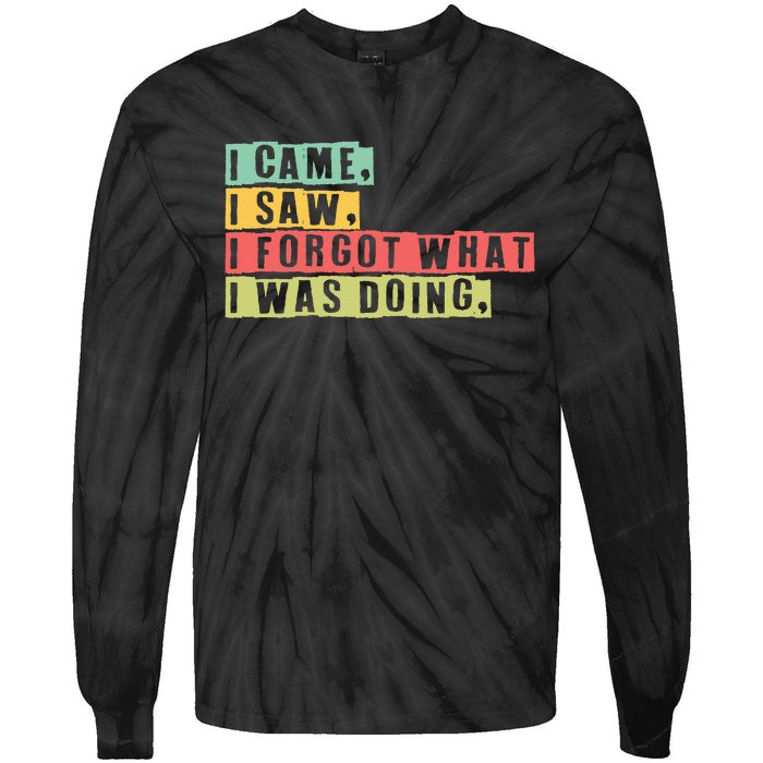 Funny Forgetfulness I Came I Saw I Forgot Memory Loss Tie-Dye Long Sleeve Shirt