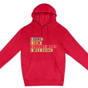 Funny Forgetfulness I Came I Saw I Forgot Memory Loss Premium Pullover Hoodie