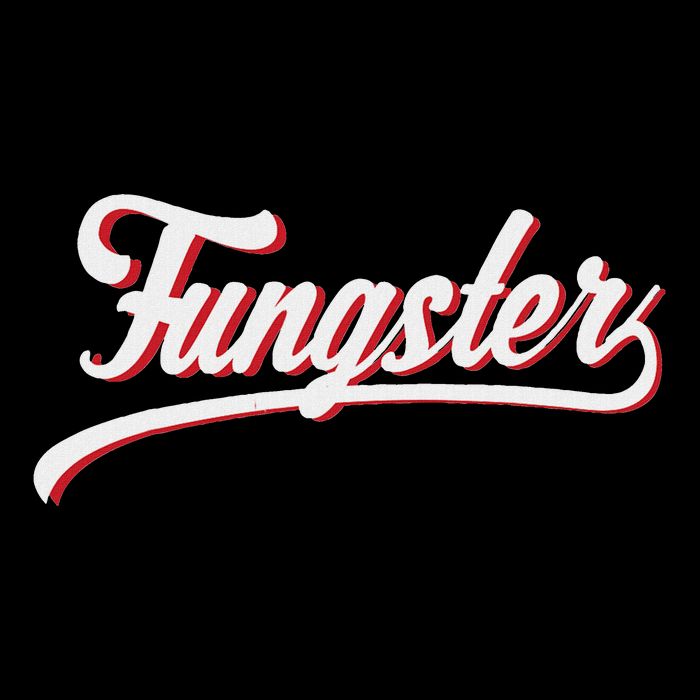 Fungster Funny Intermittent Fasting Lovers Keto Diet Fans Flexfit Unipanel Trucker Cap