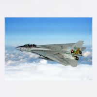 F14 Fighter Jet Premium T-Shirt