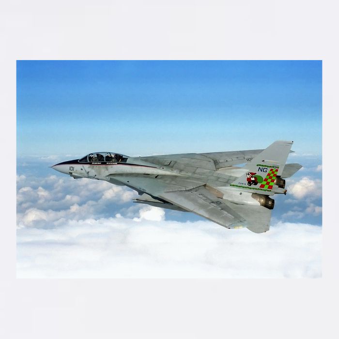 F14 Fighter Jet Premium T-Shirt