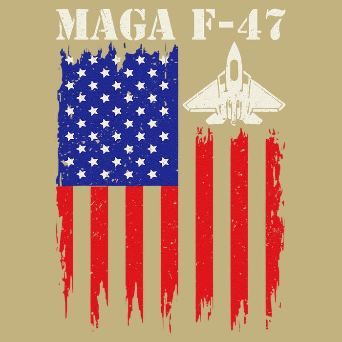 F47 Fighter Jet F-47 Jet Fighter Aircraft Us Flag Vintage Button