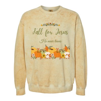 Fall For Jesus He Never Leaves Sweatshirt Fall Sweatshirt Sweatshirt For Wo J Colorblast Crewneck Sweatshirt