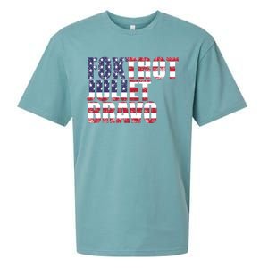 FJB Foxtrot Juliet Bravo USA Anti Biden Sueded Cloud Jersey T-Shirt