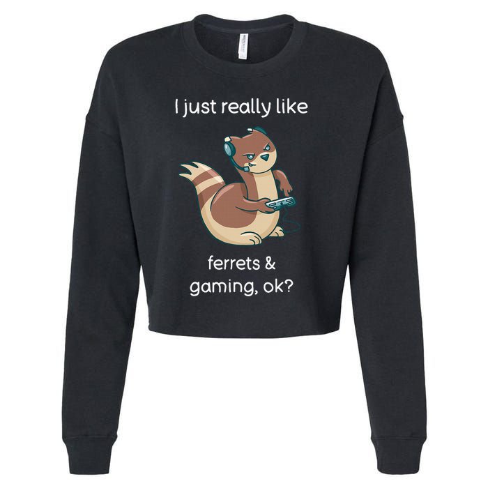 Funny Ferret Lover Gamer I Love Video Gaming Ferret Cropped Pullover Crew