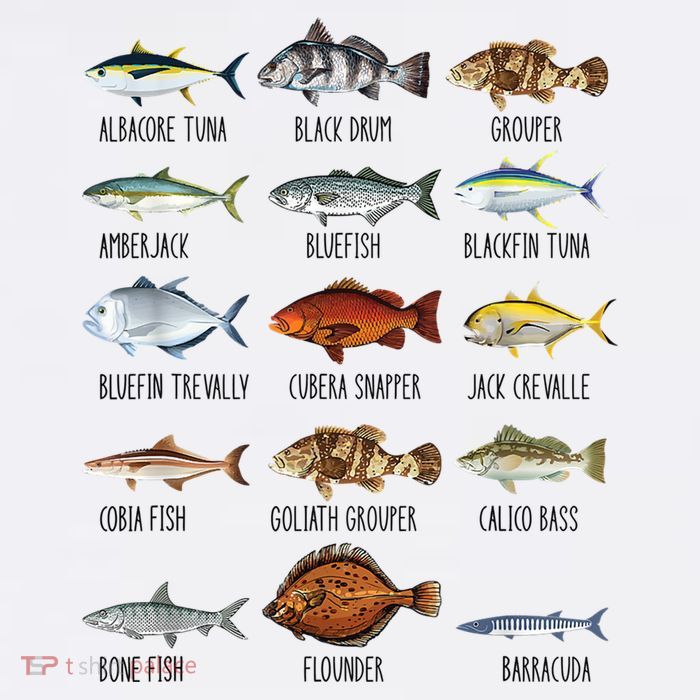Funny Fishing Lover Types Of Saltwater Fish Species Biology Tall T-Shirt