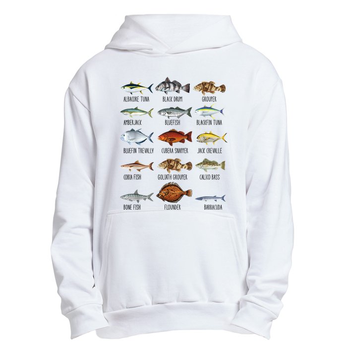 Funny Fishing Lover Types Of Saltwater Fish Species Biology Urban Pullover Hoodie