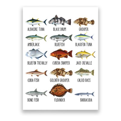Funny Fishing Lover Types Of Saltwater Fish Species Biology Poster