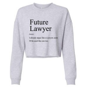 Funny Future Lawyer Gift For Law School Graduate Attorney Cropped Pullover Crew