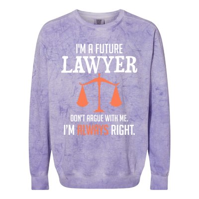 Funny Future Lawyer Law School Student Gift Colorblast Crewneck Sweatshirt