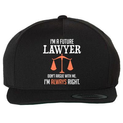 Funny Future Lawyer Law School Student Gift Wool Snapback Cap