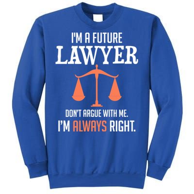 Funny Future Lawyer Law School Student Gift Sweatshirt