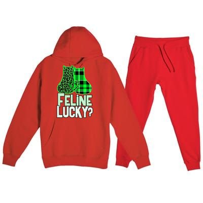 Funny Feline Lucky Feeling My Cats Luck St Patrick's Gift Premium Hooded Sweatsuit Set