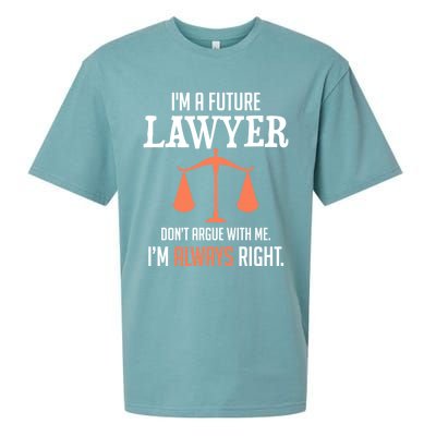 Funny Future Lawyer Law School Student Gift Sueded Cloud Jersey T-Shirt