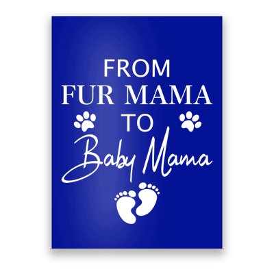 From Fur Mama To Mama Dog Cat Owner New Mom Pregnant Gift Poster