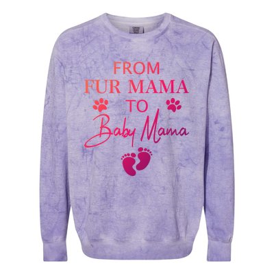 From Fur Mama To Mama Dog Cat Owner New Mom Pregnant Gift Colorblast Crewneck Sweatshirt