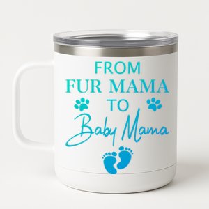 From Fur Mama To Mama Dog Cat Owner New Mom Pregnant Gift 12 oz Stainless Steel Tumbler Cup